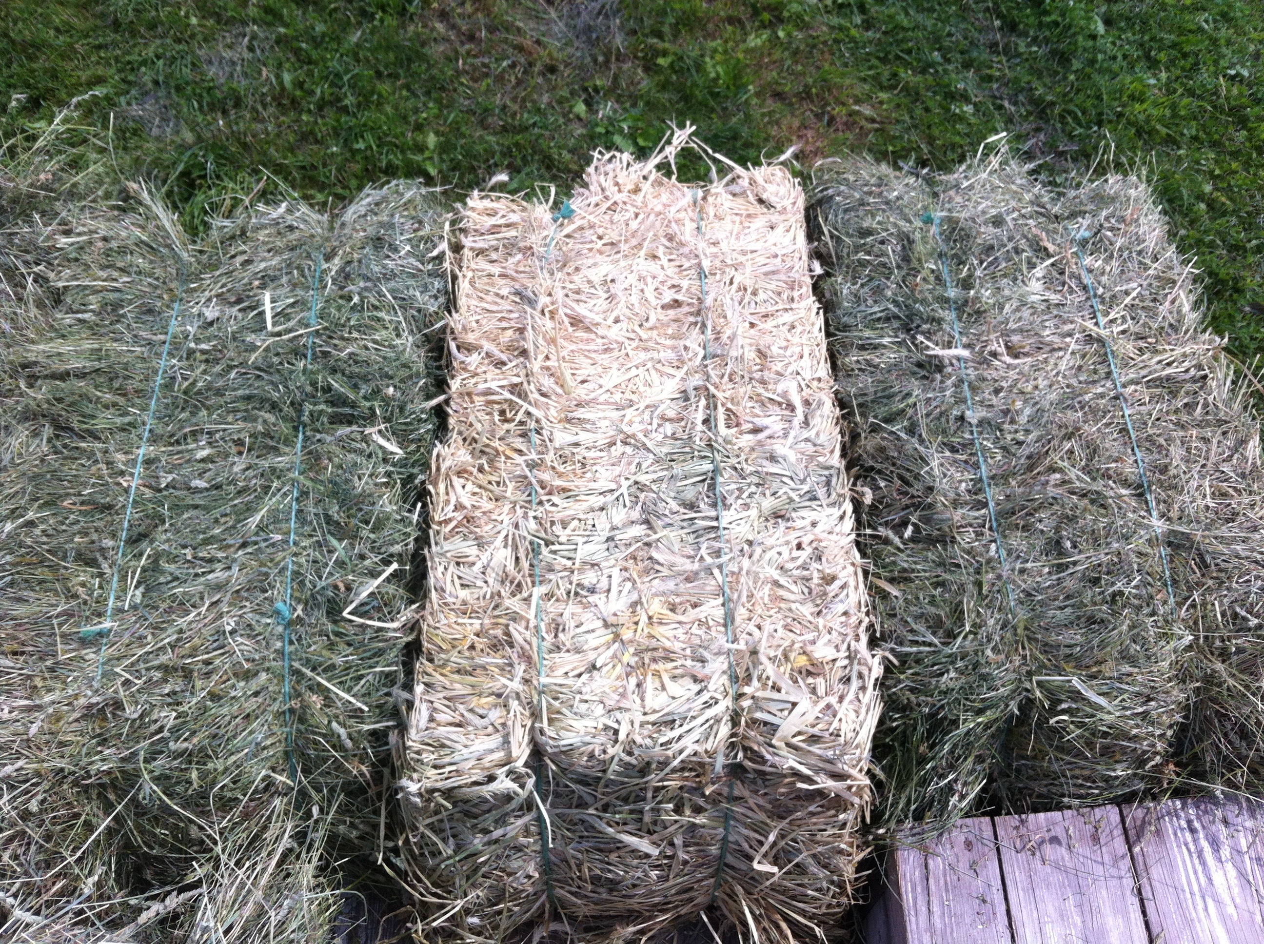 Frequently Asked Questions about Hay! – Windrow Farm